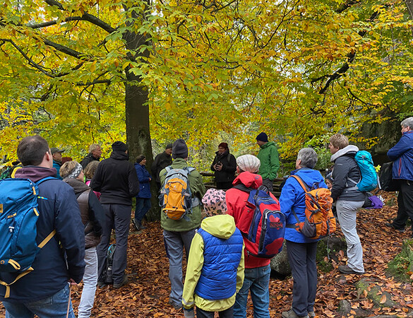Durch den Grenzwald zu den Granitriesen