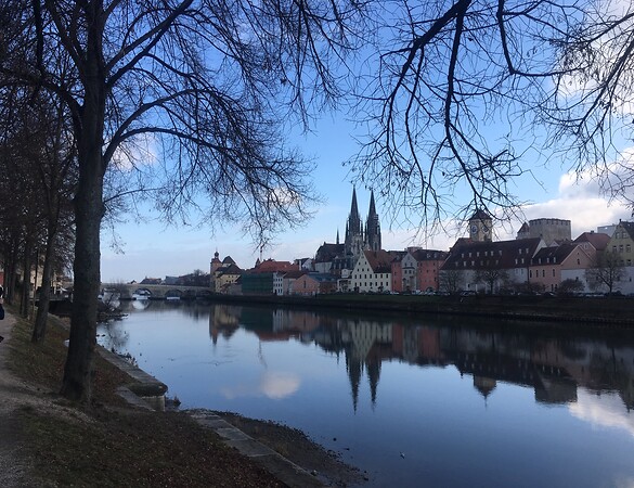 Neue Aufgaben im Stadtrat