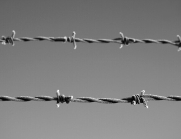 Grüne kritisieren geplantes Transitzentrum in Pionierkaserne