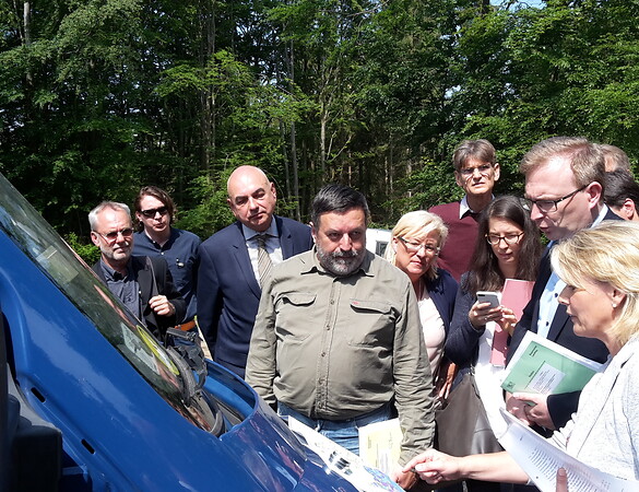 Petition gegen den geplanten Steinbruch im Fürstlichen Thiergarten