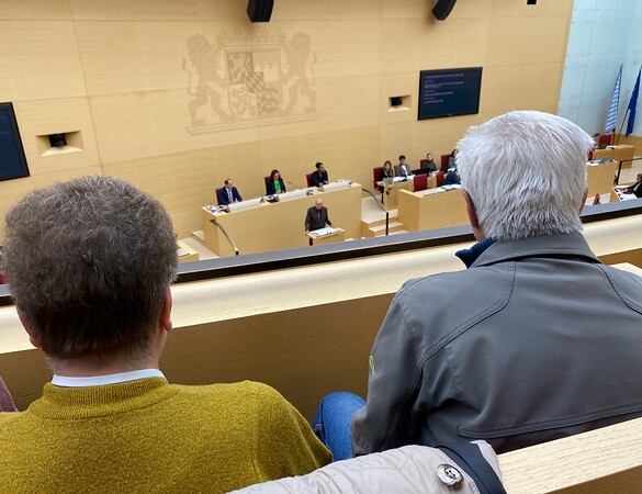 Die verfolgte Unschuld