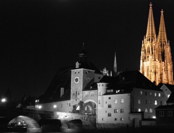 Die „steinerne Stadt" Regensburg wird aufgepolstert