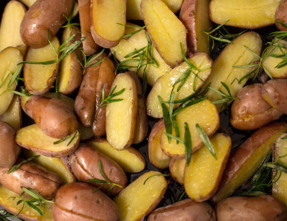 Mittagsverpflegung an Grundschulen: kostenlos, nachhaltig und gesund