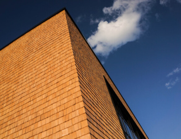 Auf Holz bauen – Neue Fördermöglichkeiten im Wohnungsbauprogramm schaffen