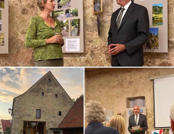 Das Geheimnis der Bäume