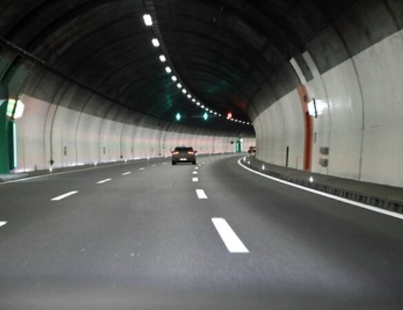 Grüne fordern Fakten statt Wunschkonzert