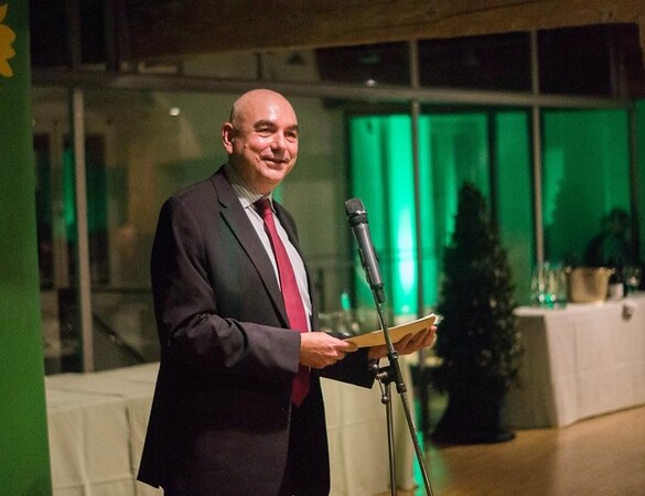 Grüner Abend in Regensburg