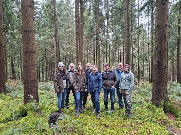 Nachhaltige Waldwirtschaft im Fokus