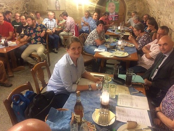 Bezirksversammlung der Oberpfälzer Grünen