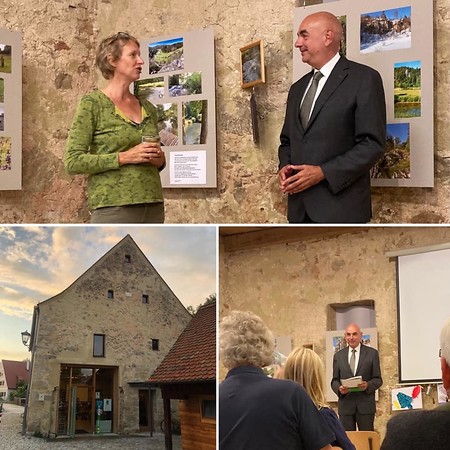 Das Geheimnis der Bäume