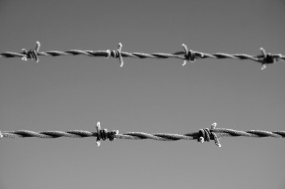 Grüne kritisieren geplantes Transitzentrum in Pionierkaserne