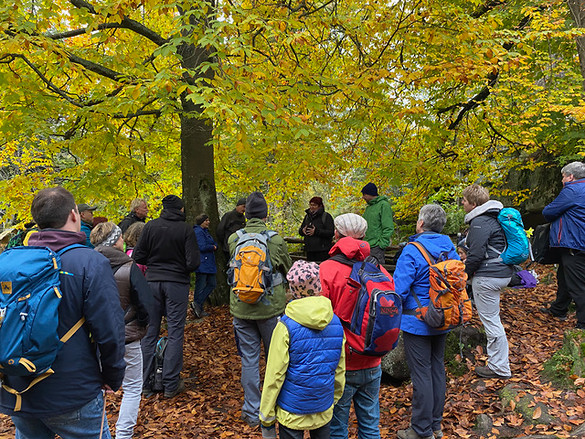 Durch den Grenzwald zu den Granitriesen