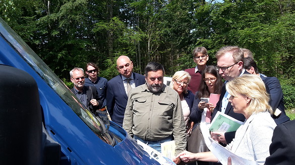 Petition gegen den geplanten Steinbruch im Fürstlichen Thiergarten