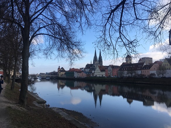 Neue Aufgaben im Stadtrat